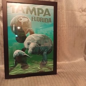 Crystal River picture postcard